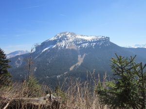 IMG_1060