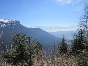 IMG_1061