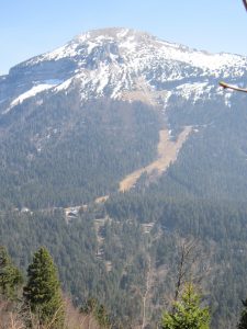IMG_1064