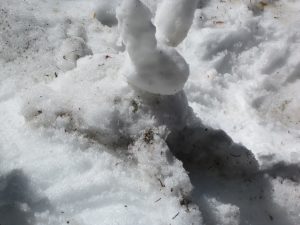 IMG_1070