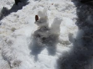 IMG_1074