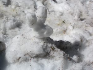 IMG_1077