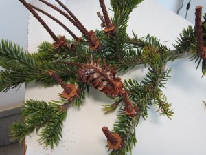 IMG_1078